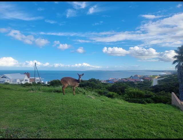 990M² VACANT LAND FOR SALE IN DANA BAY